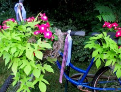 DIY Bicycle Planter