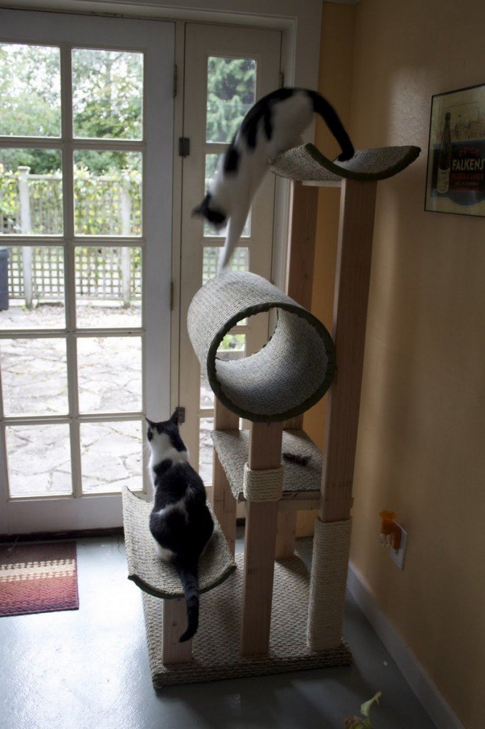 DIY Cat Tower Affordable 10Step Project