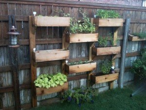 3 Great Vertical Wooden Box Planter Ideas - The Owner-Builder Network