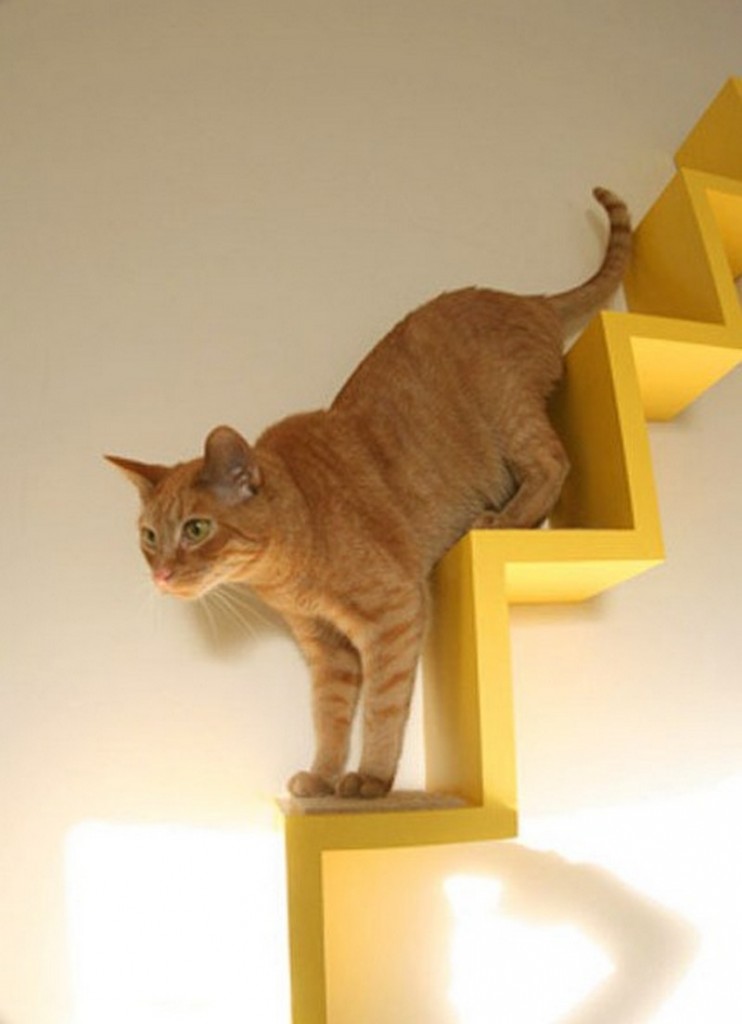 The Kitty Loft