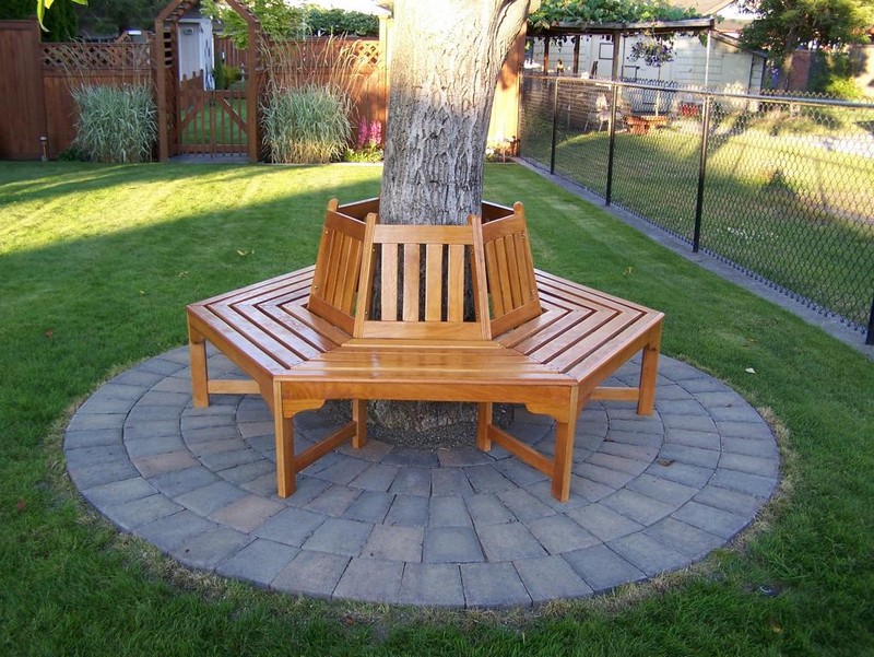 Bench Around A Tree – The Owner Builder Network