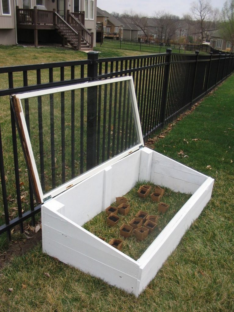 DIY Mini Greenhouse