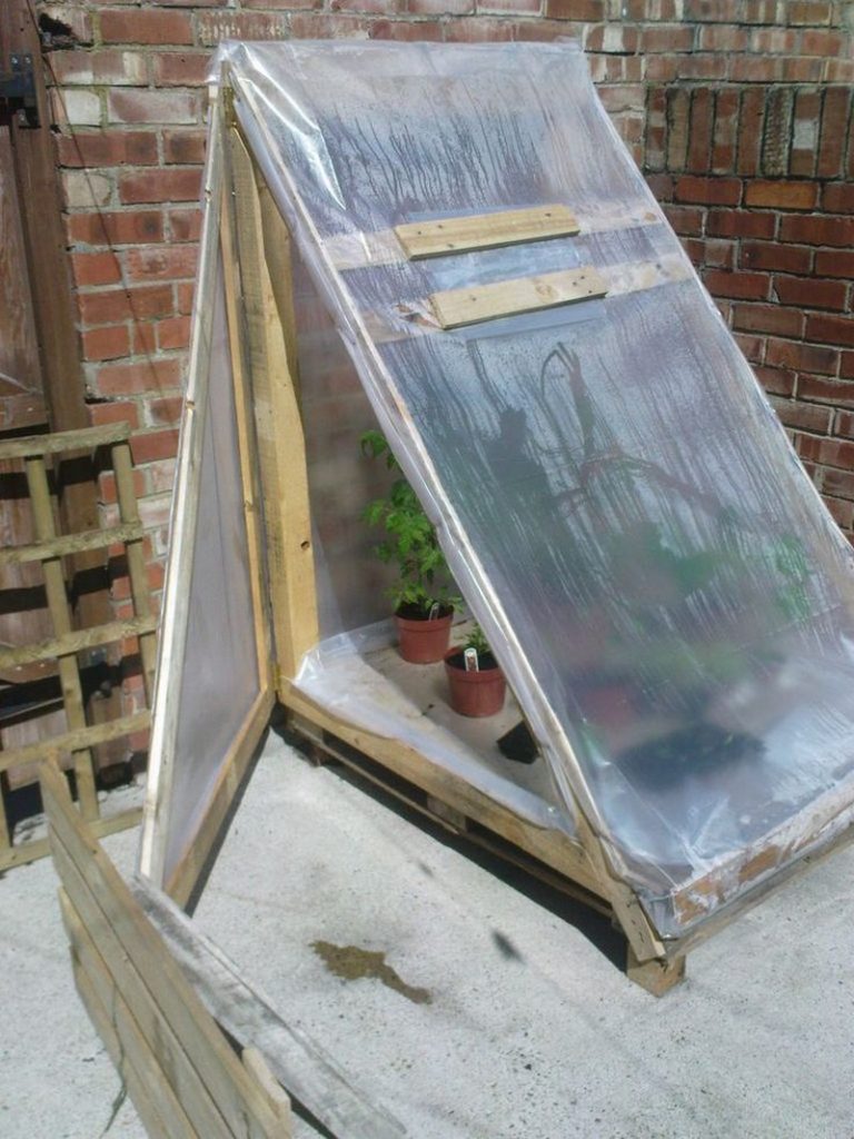 DIY Mini Greenhouse