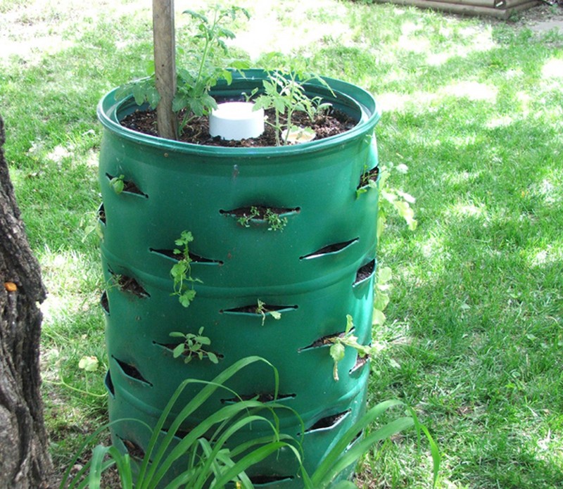 DIY Barrel Planter