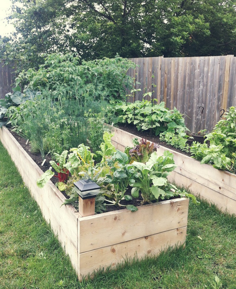 diy easy access raised garden bed | the owner-builder network