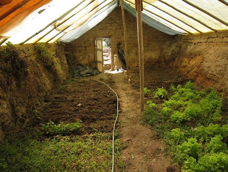 Earth Sheltered Greenhouse