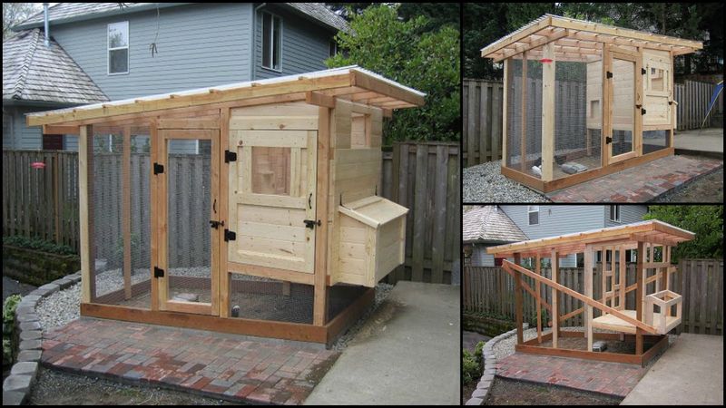 Homemade Chicken Coop