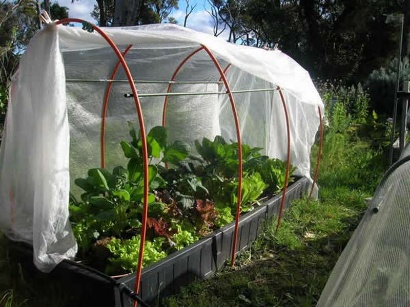 Raised Garden Bed Cover