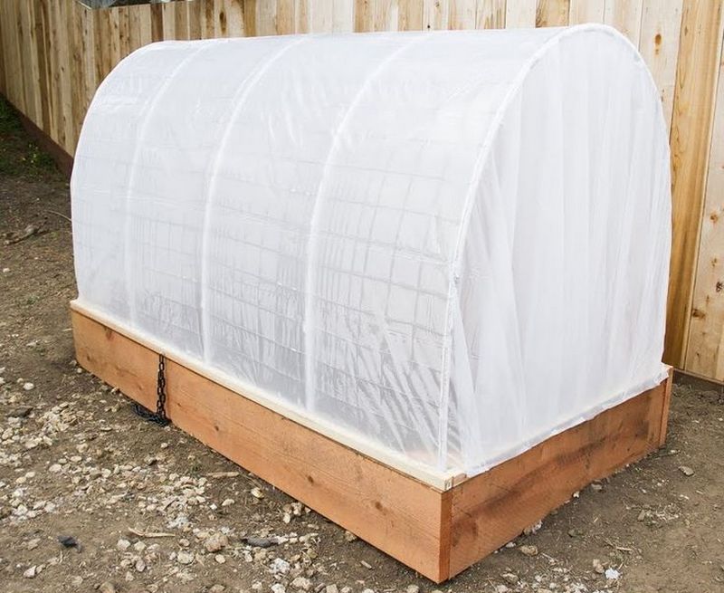 Raised Garden Bed With Cover