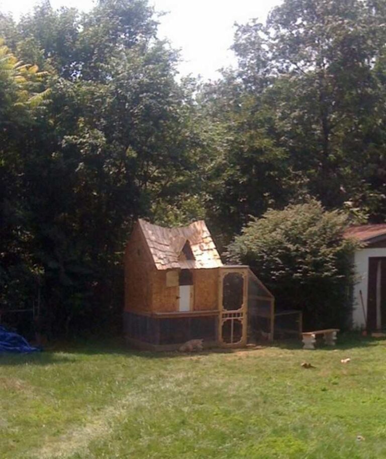 DIY Chicken Coop