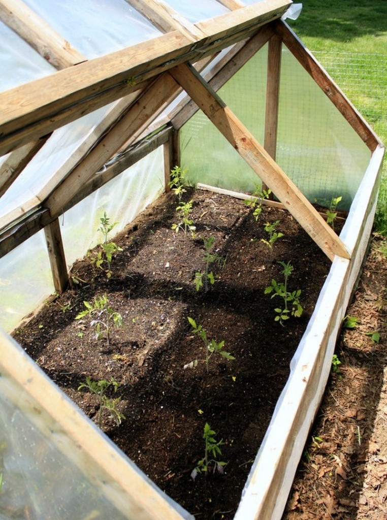 DIY Mini Greenhouse