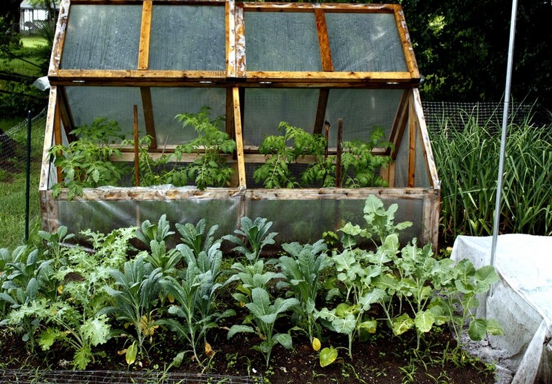 DIY Mini Greenhouse