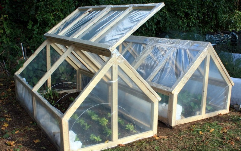 DIY Mini Greenhouse