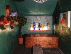 DIY AT AT Cat House - Inside View