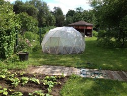DIY Geodesic Dome Greenhouse - Finished Geodesic Dome Greenhouse