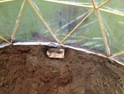DIY Geodesic Dome Greenhouse - Inside view
