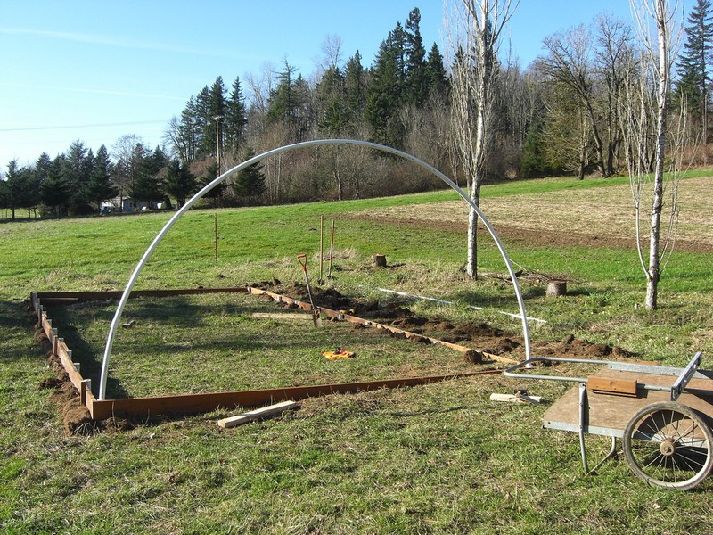 DIY Hoop Greenhouse - Insert PVC bows