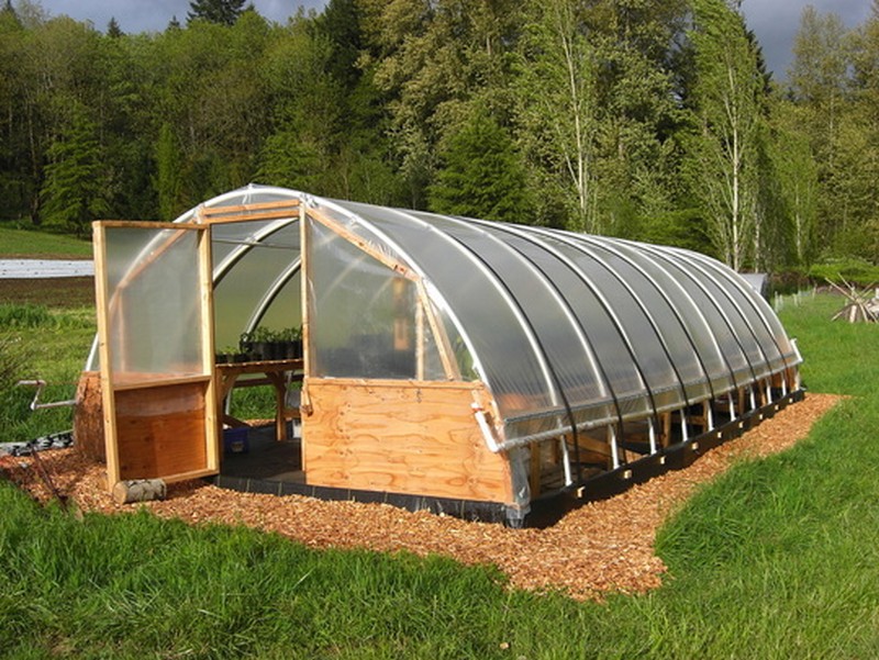 DIY Hoop Greenhouse - The greenhouse