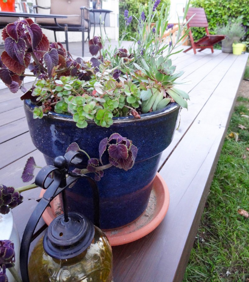 DIY Platform Deck - Outdoor seating area