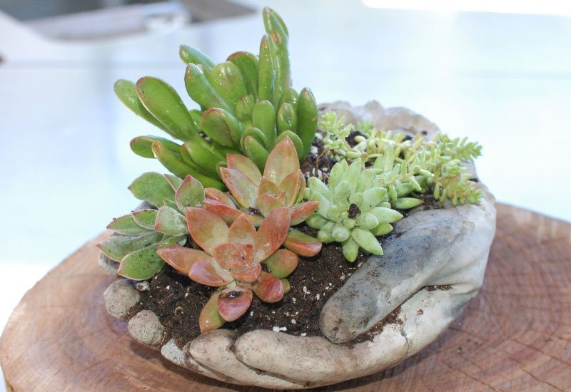 DIY Hand Planters The Owner-Builder Network