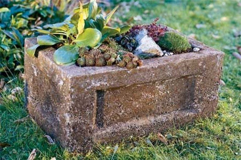 DIY Hypertufa Planter - Cool Looking Planters for Your Garden