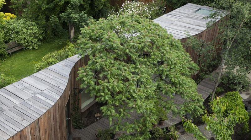 Taking the garden to the home in East London