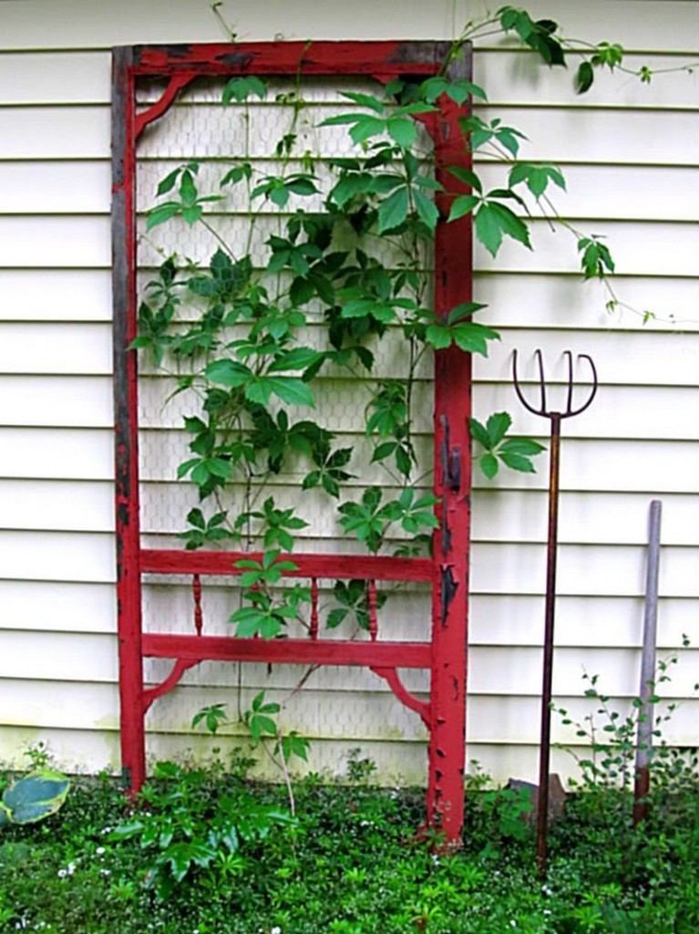 Repurposed Door - Trellis