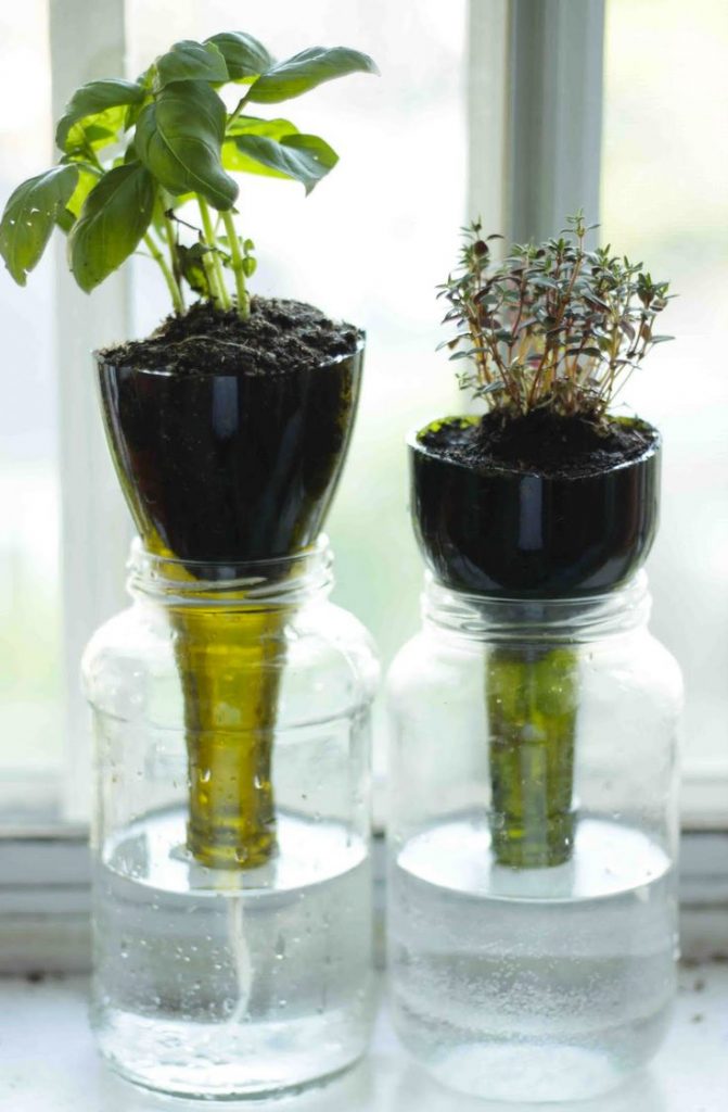 Self-Watering Seed Starter Pots