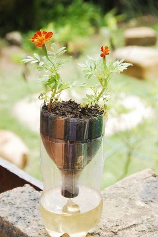 Self-Watering Seed Starter Pots