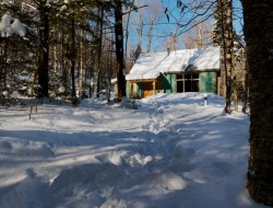 Winter Cabin - Exterior