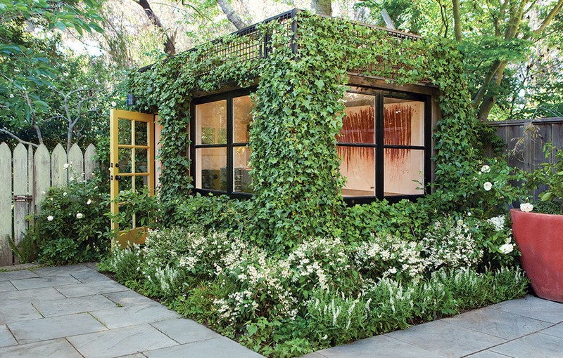 9. Ivy Covered Shed - Cube Me