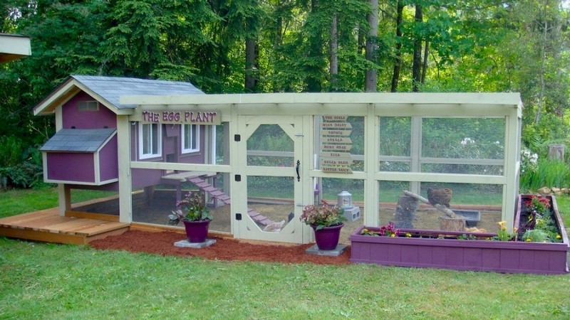 Chicken Coop Projects