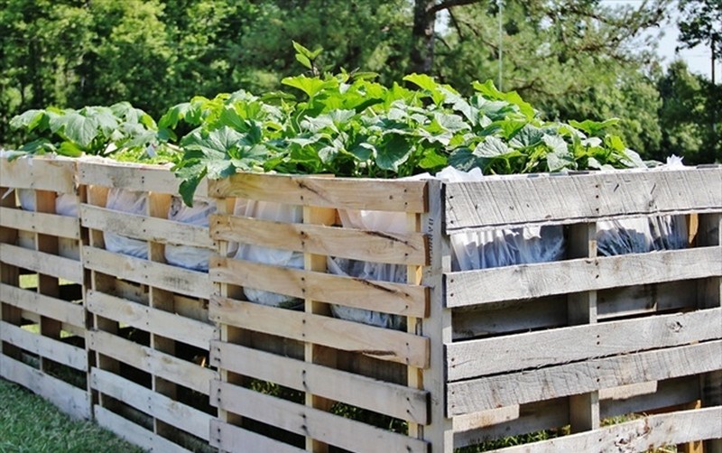 Pallet Vegetables Garden and Safety Fence - 99 Pallets