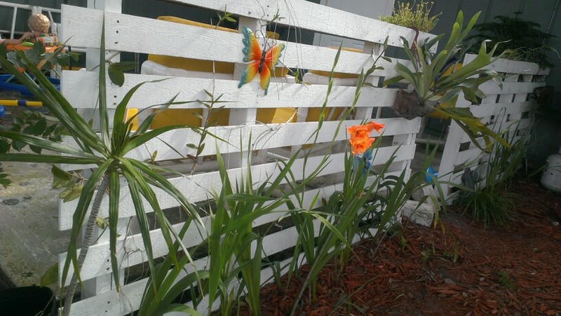 Pallet Fence Flowers DIY - Nicole G