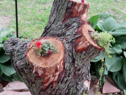 Stump Planter - Tarnished Loyalty