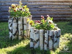 Birch Log Planter Try with driftwood - Live Internet