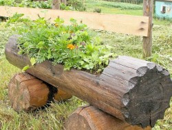 Hollowed Log Planter - Goods Home Design