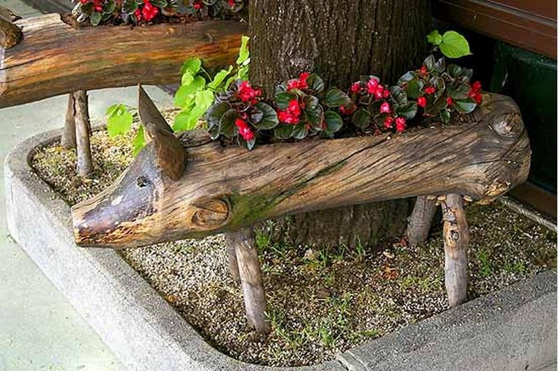 Piggie Planter - The Hungry Travelers