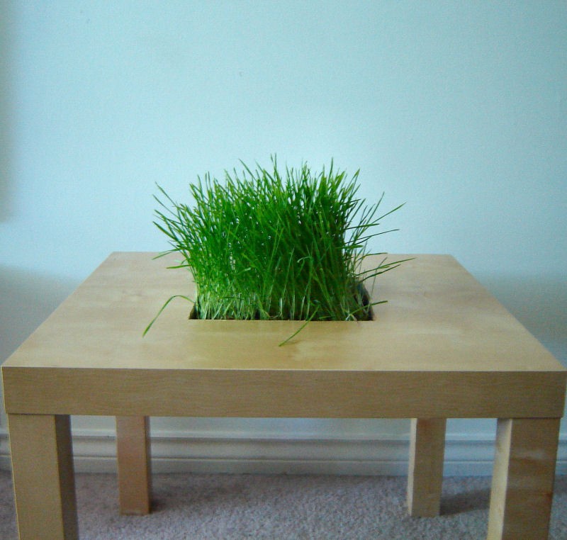 Lack Side Table Planter - IKEA Hackers