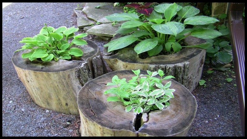 5 Unique Upcycled Tree Stump And Log Ideas