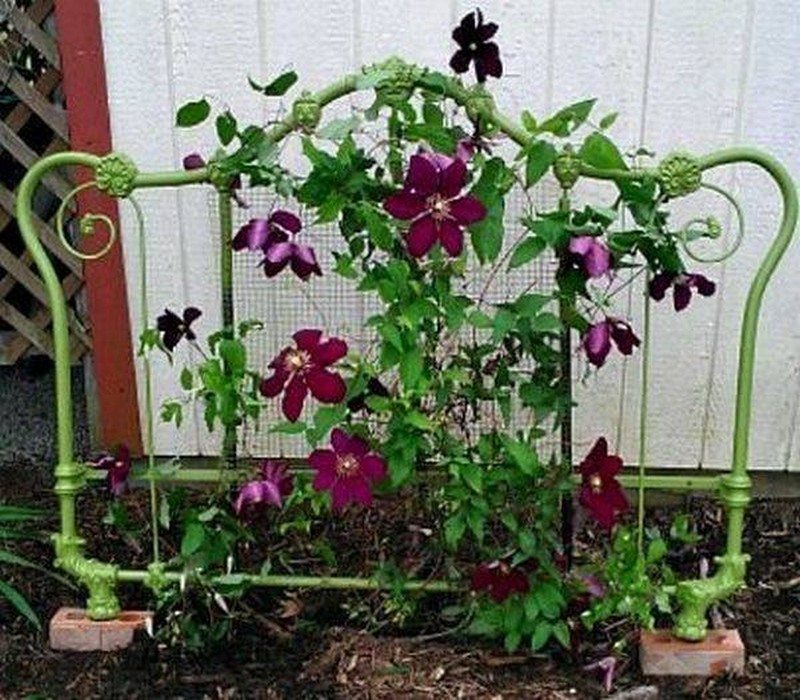 Trellis made from old headboard.