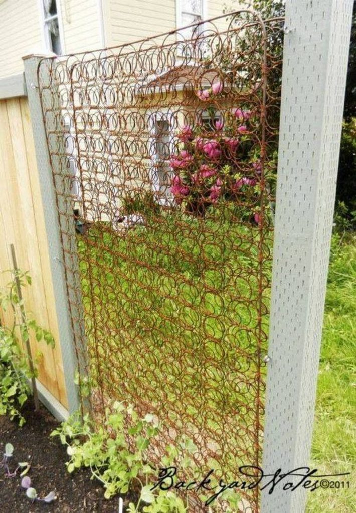 Trellis made from old spring bed.