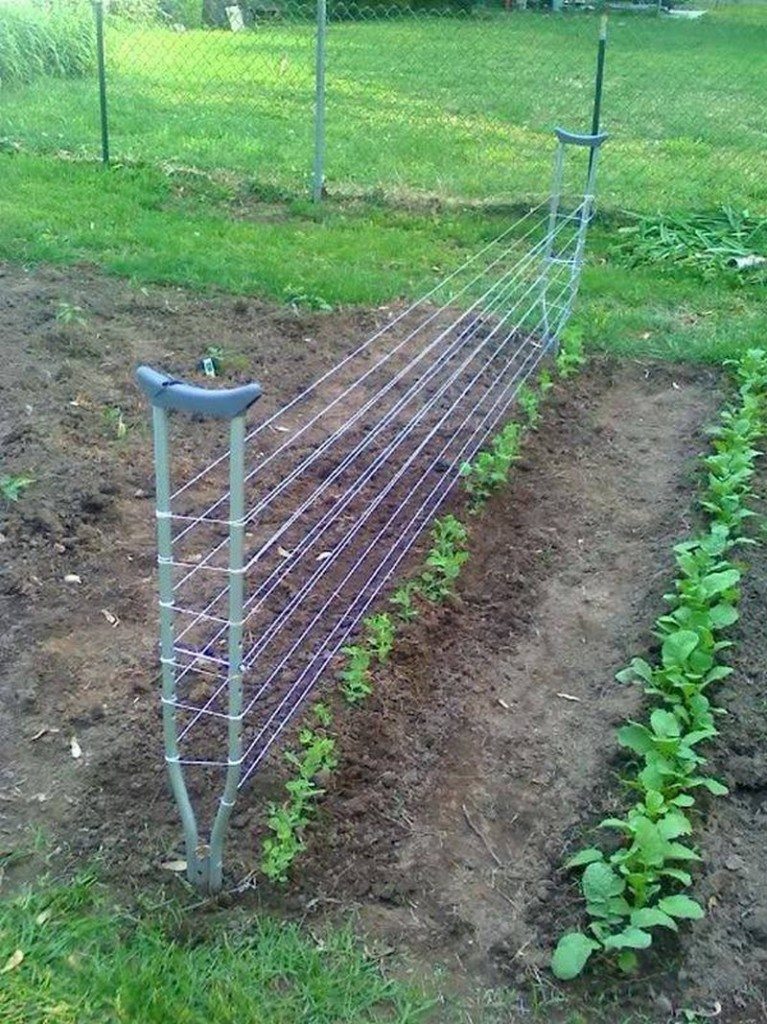 Trellis made from old crutches.