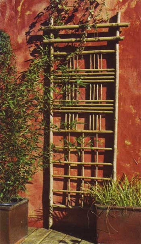 Trellis made from bamboo.