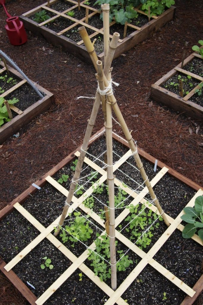 Trellis From Recycled Materials | The Owner-Builder Network