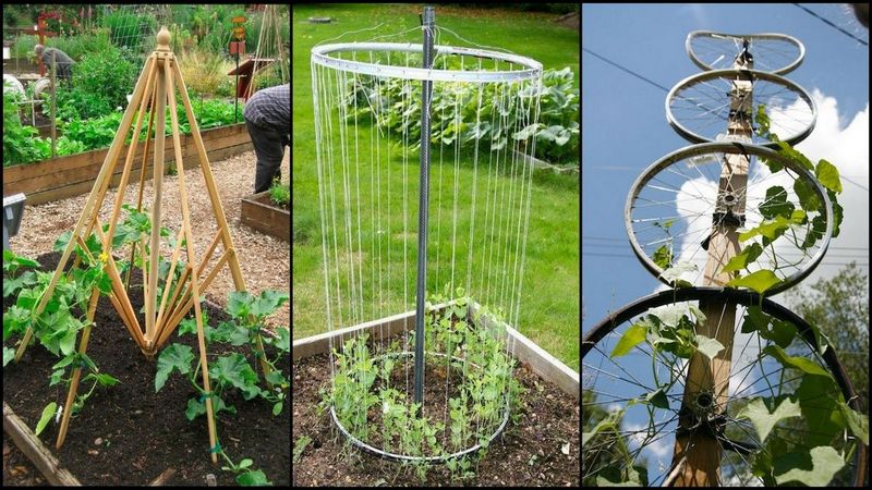 trellis from recycled materials the owner-builder network