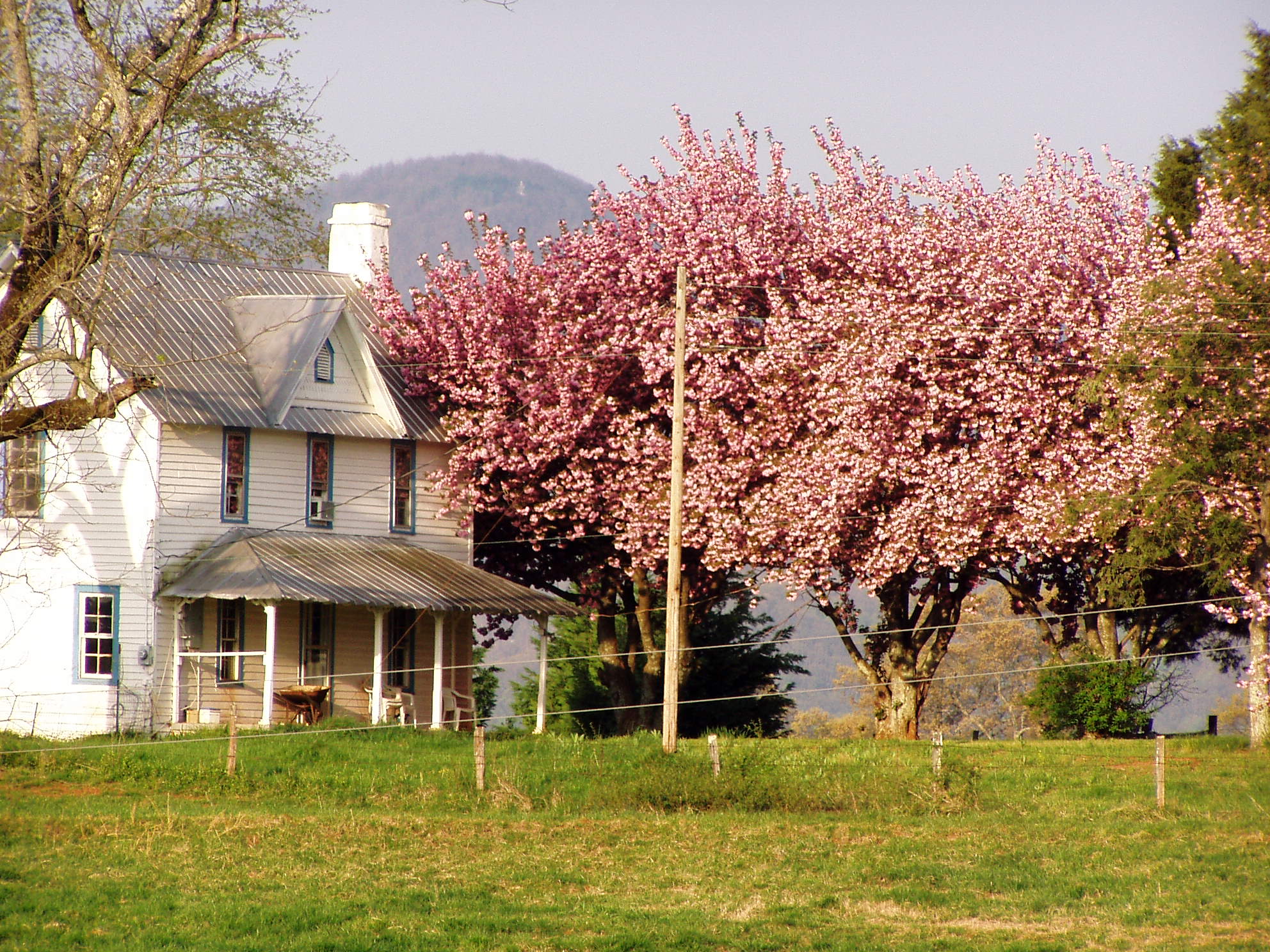 The Farmhouse