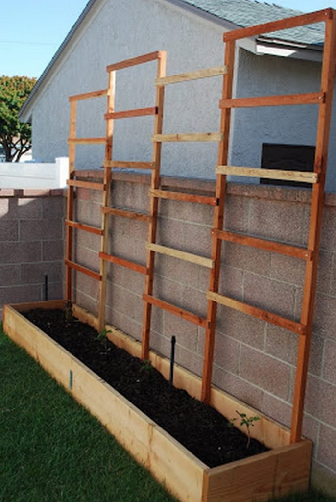 raised garden bed