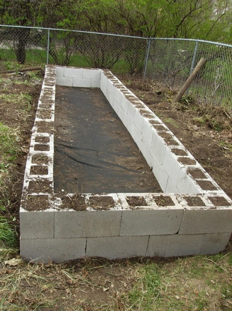 raised garden bed