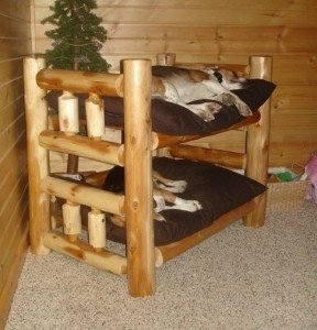 Fabulous Dog Bed Design Ideas Your Pets Will Enjoy - The Owner-Builder ...